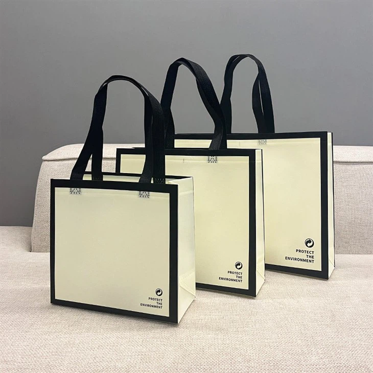 Non Woven Laminated Gift Bags